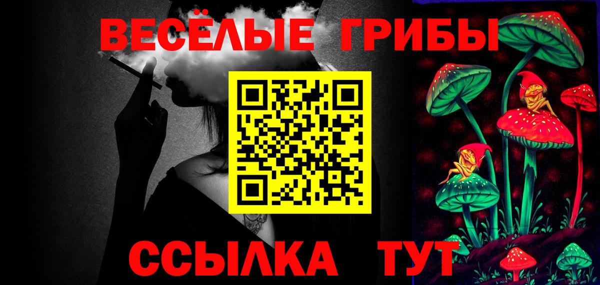 Галлюциногенные грибы GOLDEN TEACHER  Вход с VPN  Галлюциногенные грибы мухоморы  Тулун 